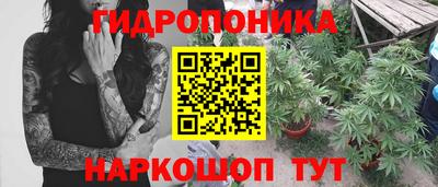 стаф Тара