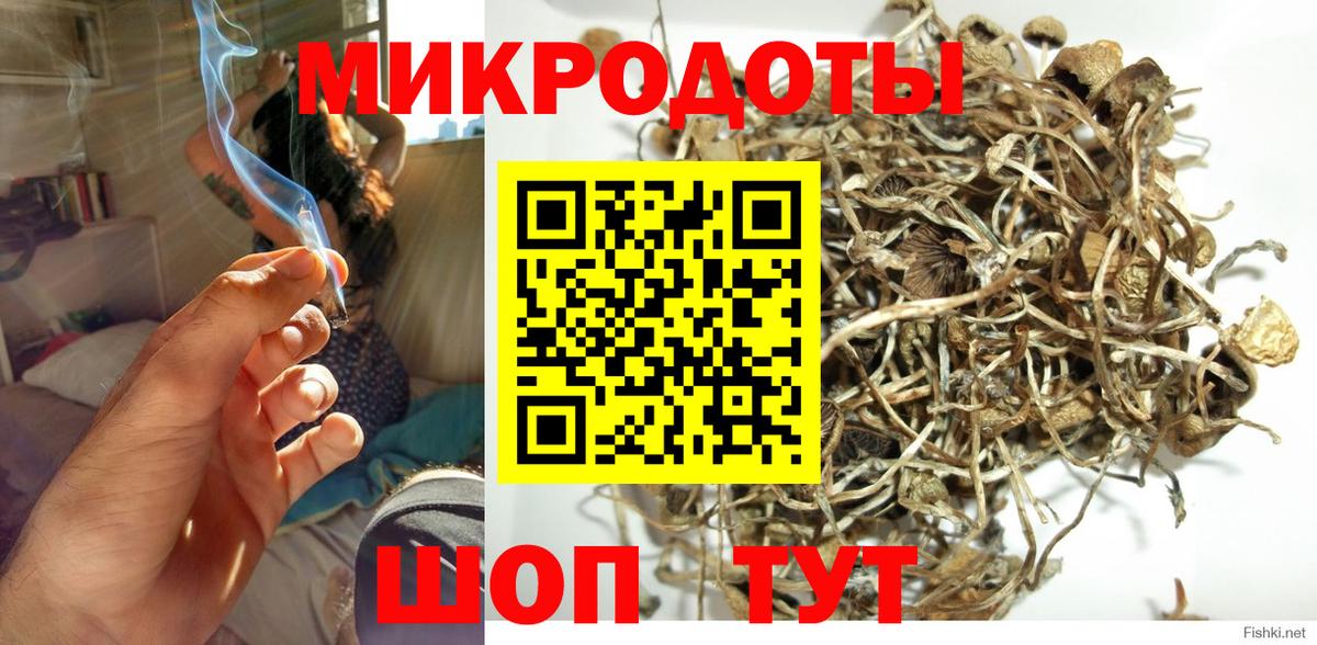 Псилоцибиновые грибы Psilocybine cubensis Назрань